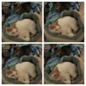 Meet your Posher, Olivia jay